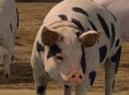 Platinum-utvidelse kommer til Farming Simulator 17